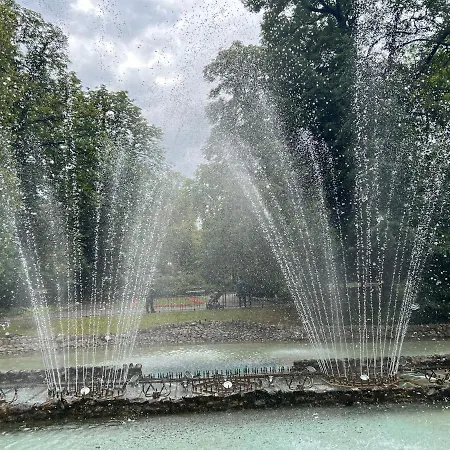 Fioletowy W Polanicy