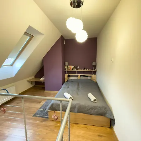 Fioletowy W Polanicy Polanica-Zdrój