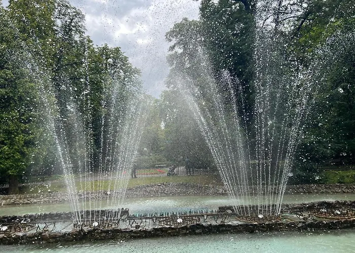 Fioletowy W Polanicy