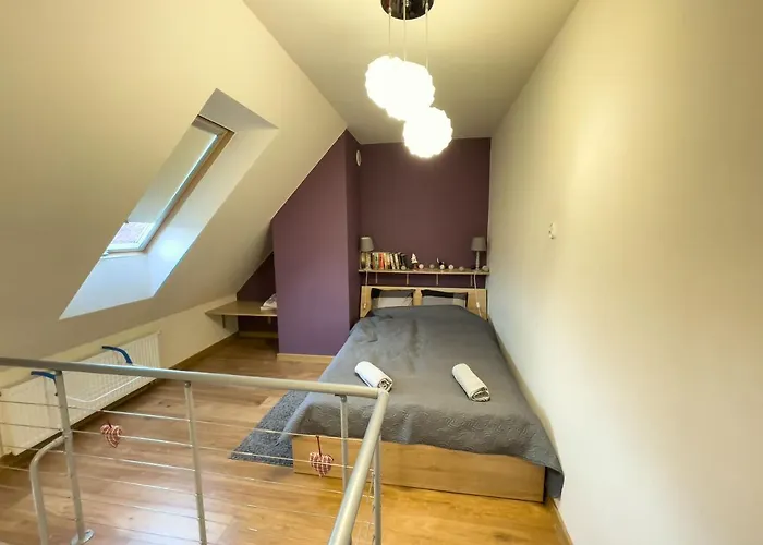 Fioletowy W Polanicy Polanica-Zdrój