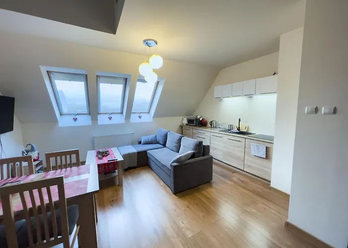 Fioletowy W Polanicy